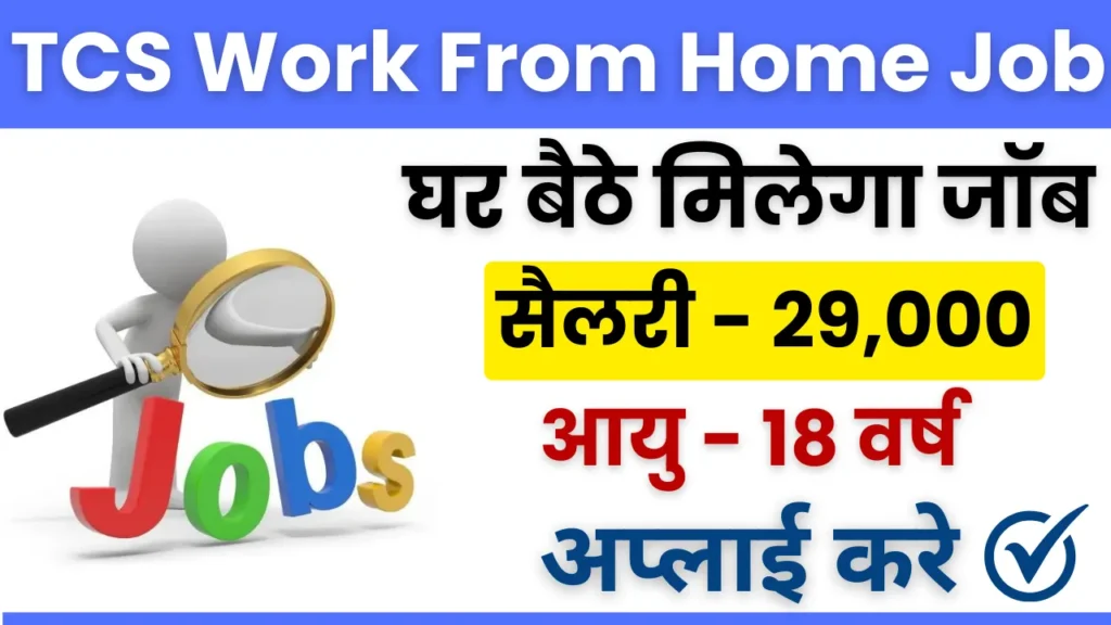 TCS Work From Home Job